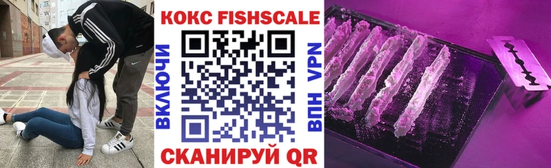 кракен зеркало  Курганинск  COCAIN Fish Scale 