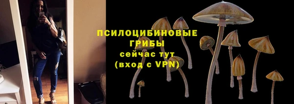 МДПВ Балахна