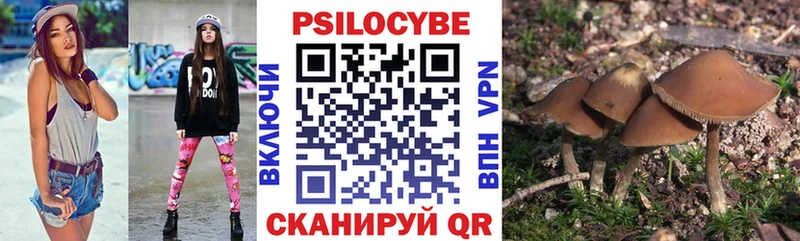 купить   Курганинск  Галлюциногенные грибы мицелий 